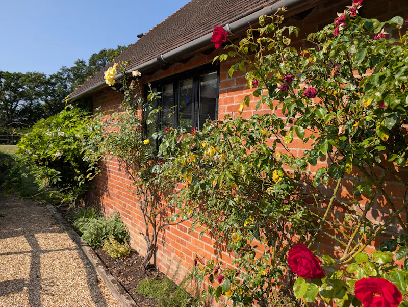 Smithbrook Modern Barn, L768 (photo 18)