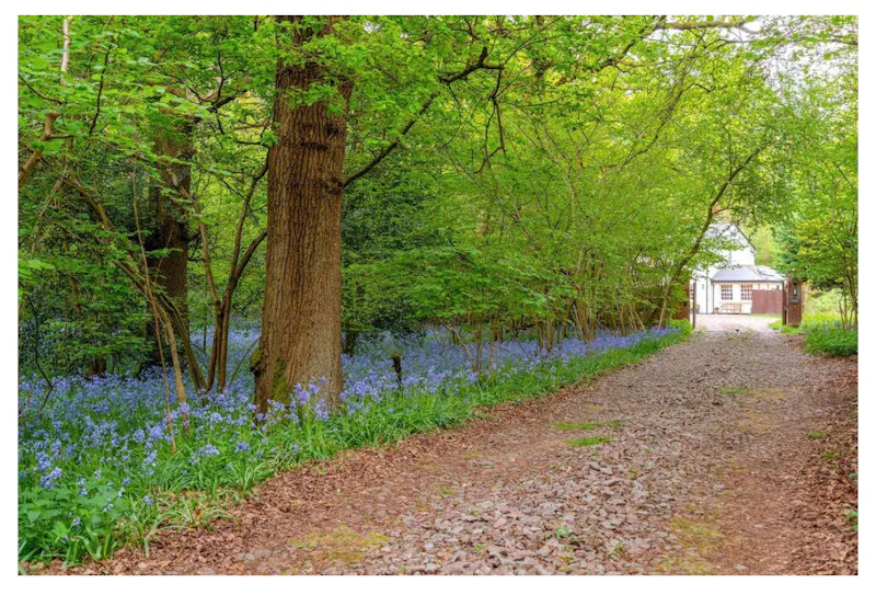Rickmansworth Family Cottage , C882 (photo 31)