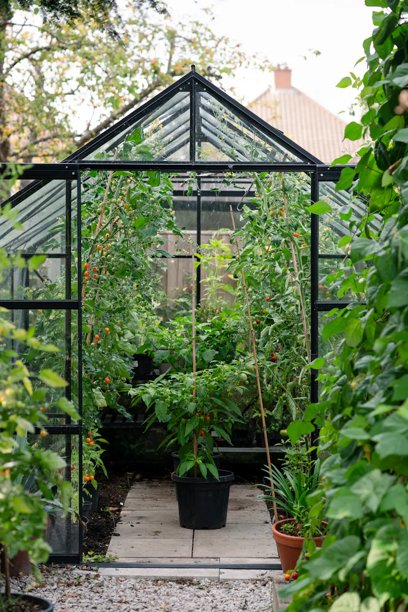 Walthamstow Secret Garden Home, B2088 (photo 18)