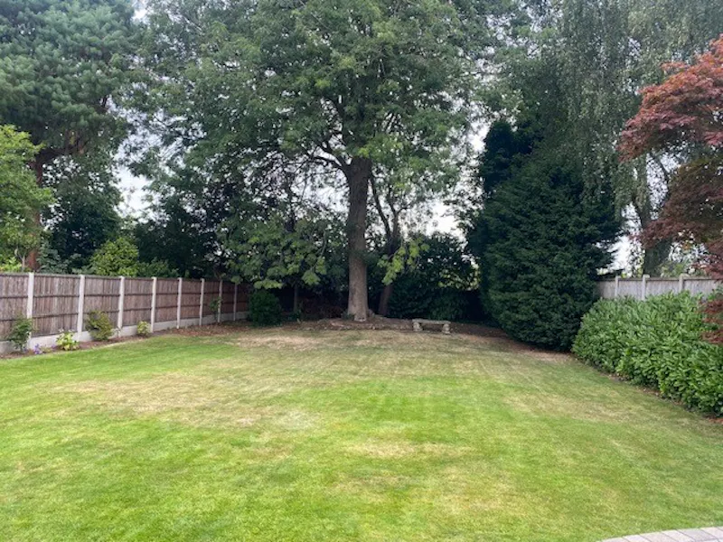 Garden at Urmston Family Home, D2831 (photo 35)