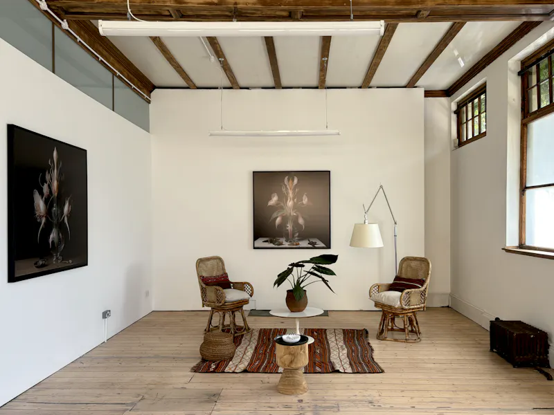Converted Camberwell pub, F591 (photo 5)