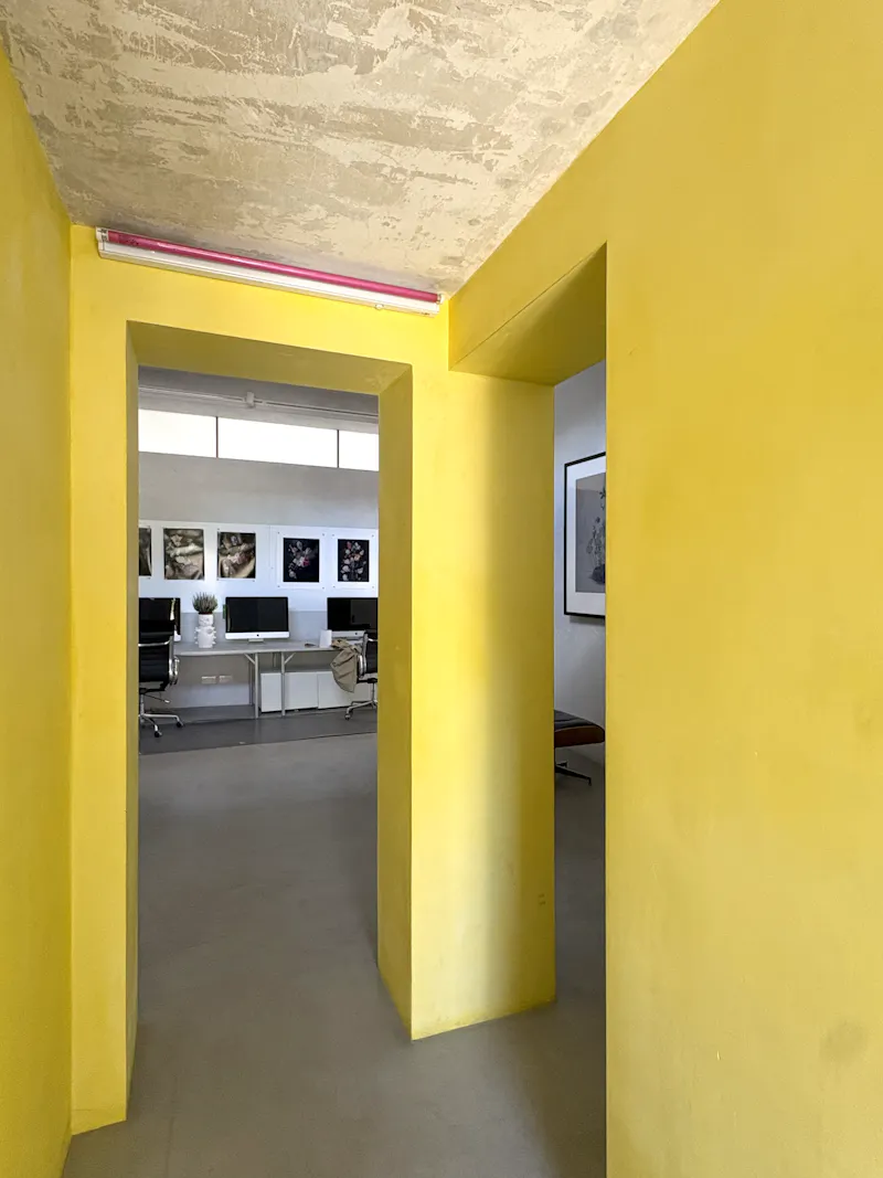 Converted Camberwell pub, F591 (photo 8)