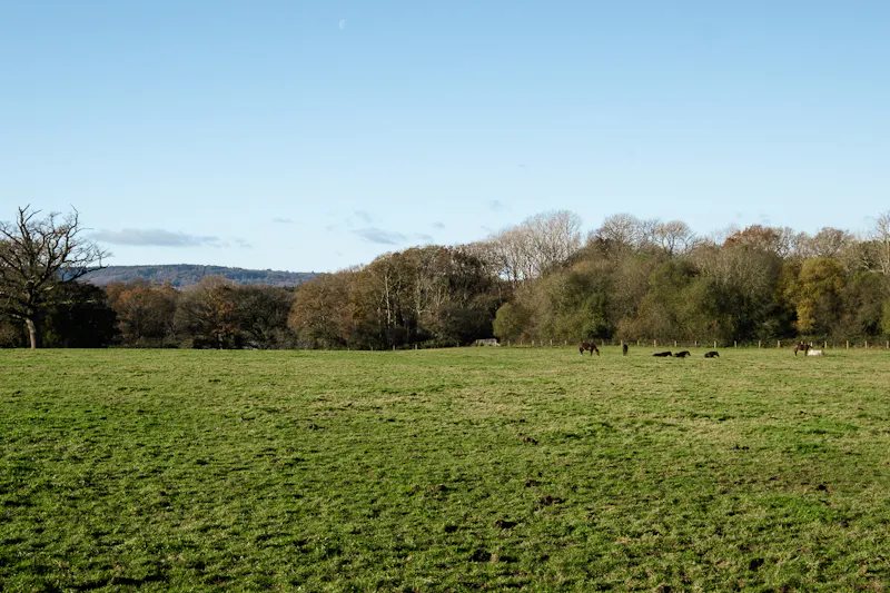 Beautiful Sussex Farmhouse, L772 (photo 93)