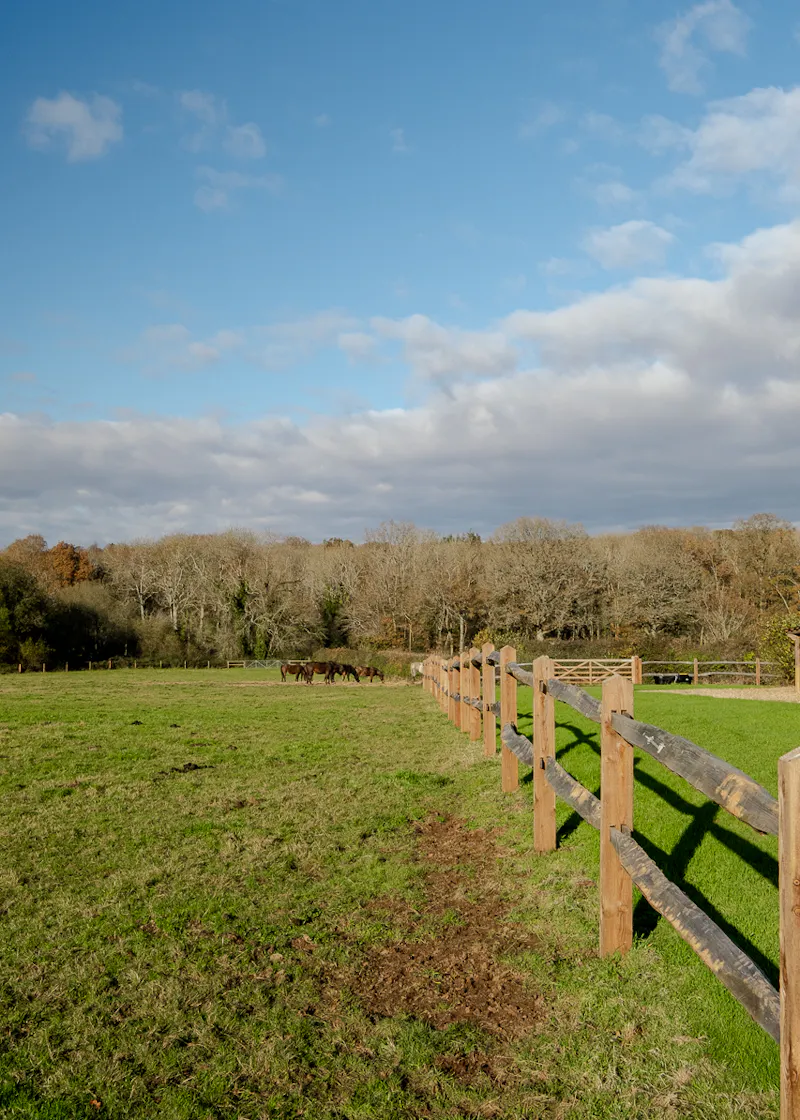 Beautiful Sussex Farmhouse, L772 (photo 94)
