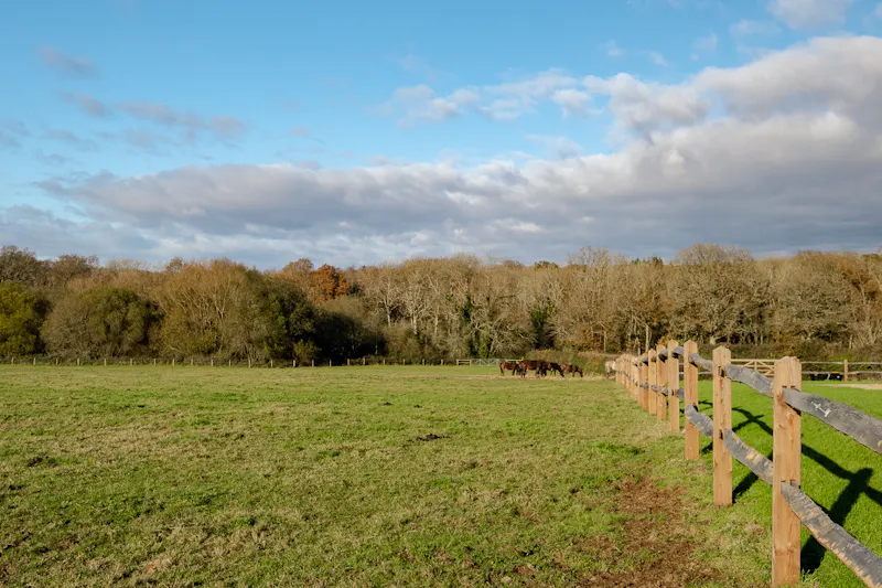 Beautiful Sussex Farmhouse, L772 (photo 95)