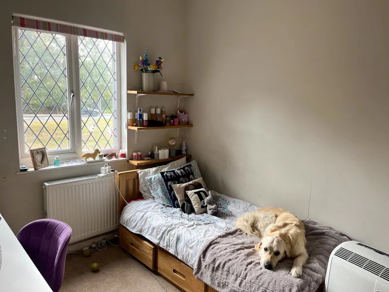 Bedroom at Modern Crystal Palace home, D2835 (photo 33)