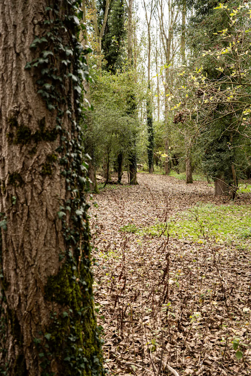 Suffolk test track unit base, N566 (photo 19)