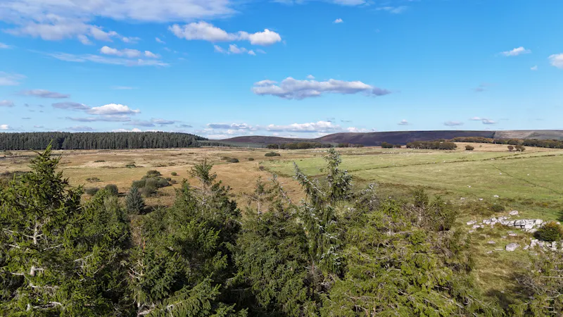 Cosy Dartmoor cabin, Q160 (photo 22)