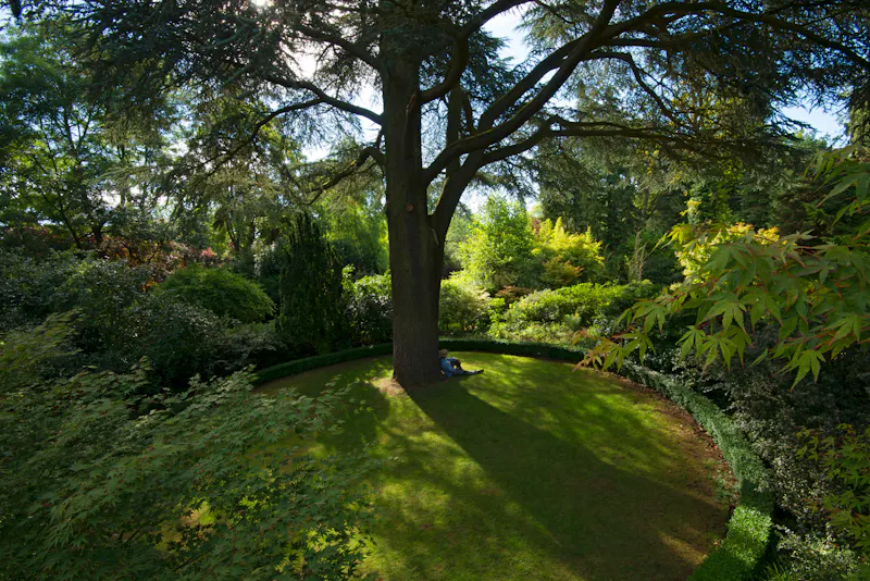 Extraordinary Woodstock palace , G71 (photo 61)