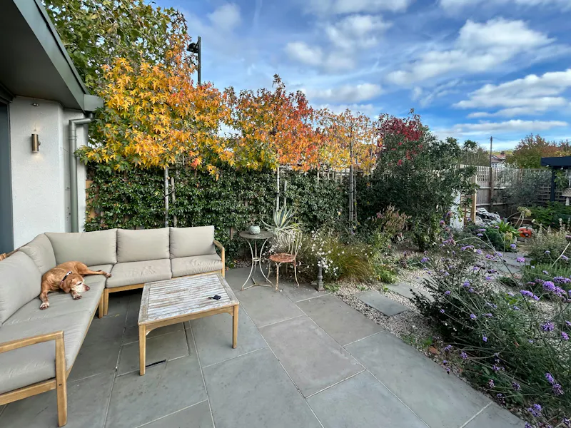 Terrace/Patio at Calming East Dulwich home, E545 (photo 28)