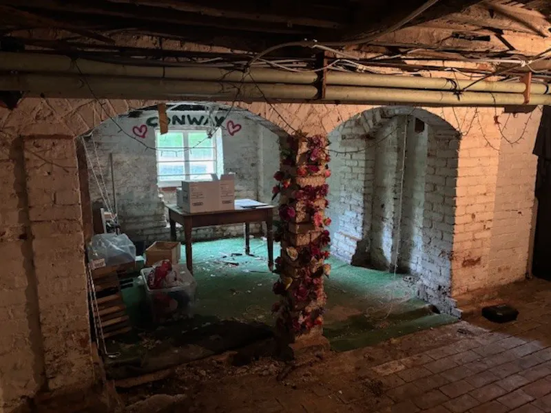 Cellar at Striking late Georgian Home, A1676 (photo 27)