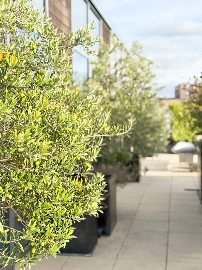 Bermondsey penthouse with views, F1269 (photo 18)
