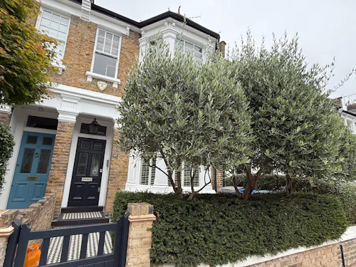 Eclectic Queen's park terrace , B2101