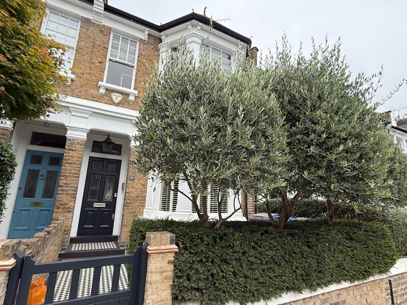 Eclectic Queen's park terrace , B2101 (photo 1)