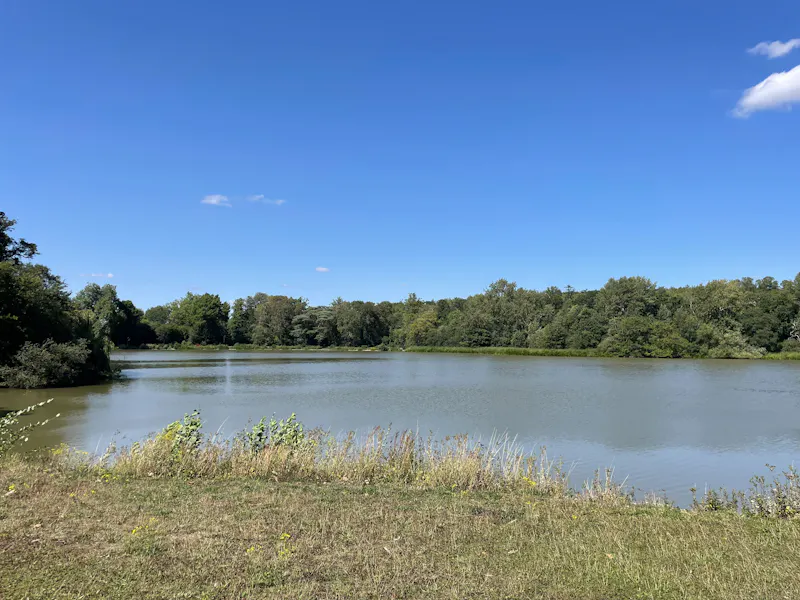 Lake at Stunning Oxfordshire Stately , A1677 (photo 17)