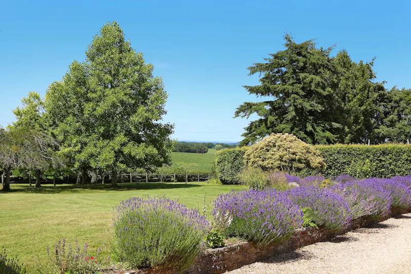 Views - country at Beautiful Farnham farmhouse, A1679 (photo 24)