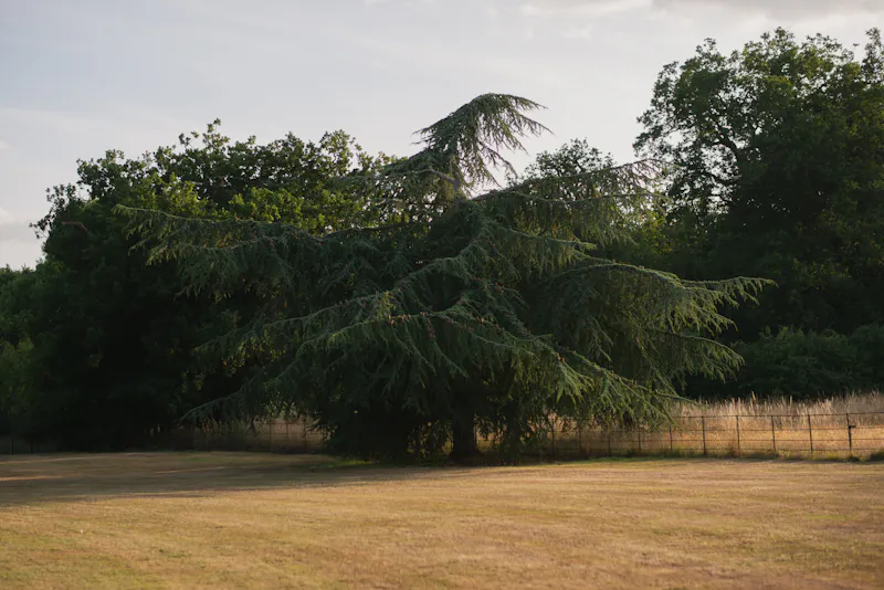 Garden at Refined Suffolk Georgian manor, A1690 (photo 70)