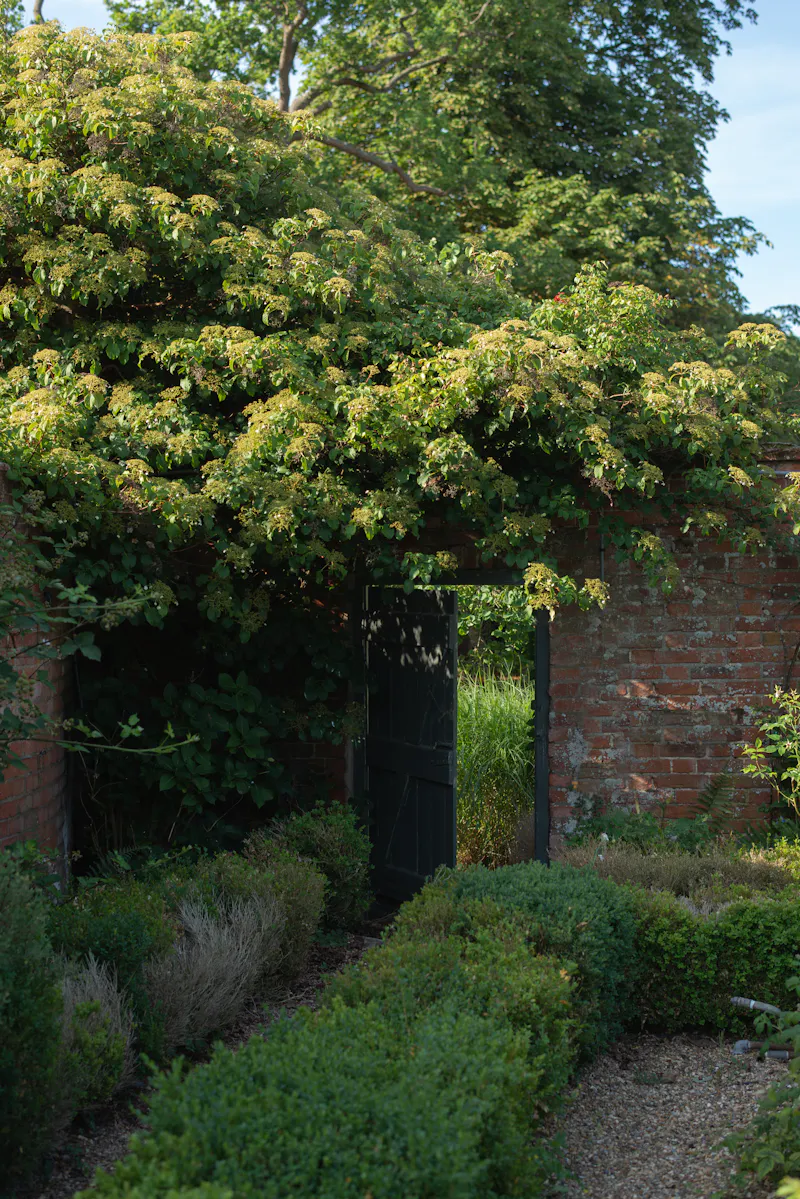 Refined Suffolk Georgian manor, A1690 (photo 66)