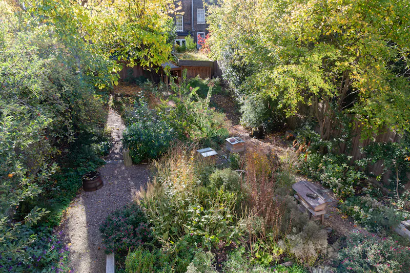 Garden - wild at Architect Designed Camden Home, B2106 (photo 44)