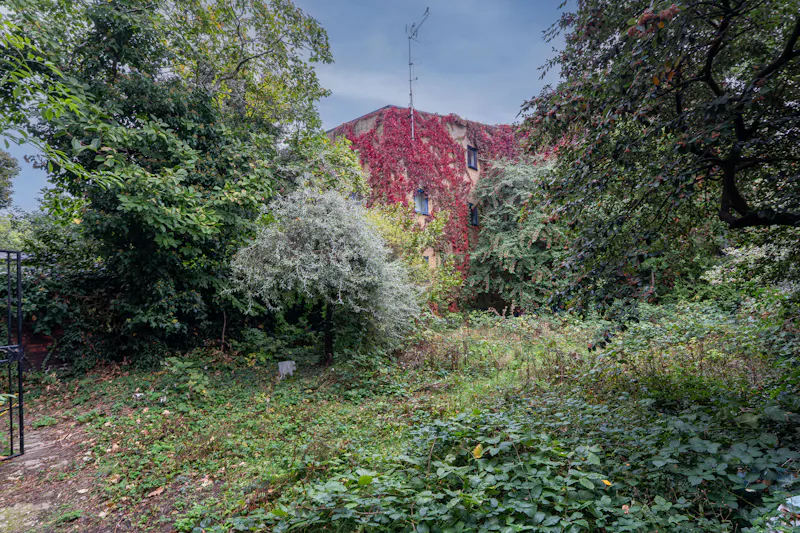 Vacant Newington Green Georgian, A1682 (photo 32)