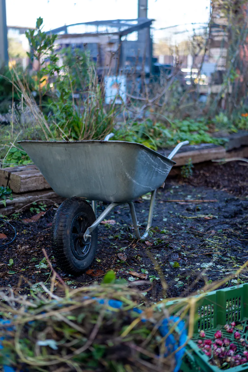 Surrey Quays Urban Allotment, L776 (photo 11)