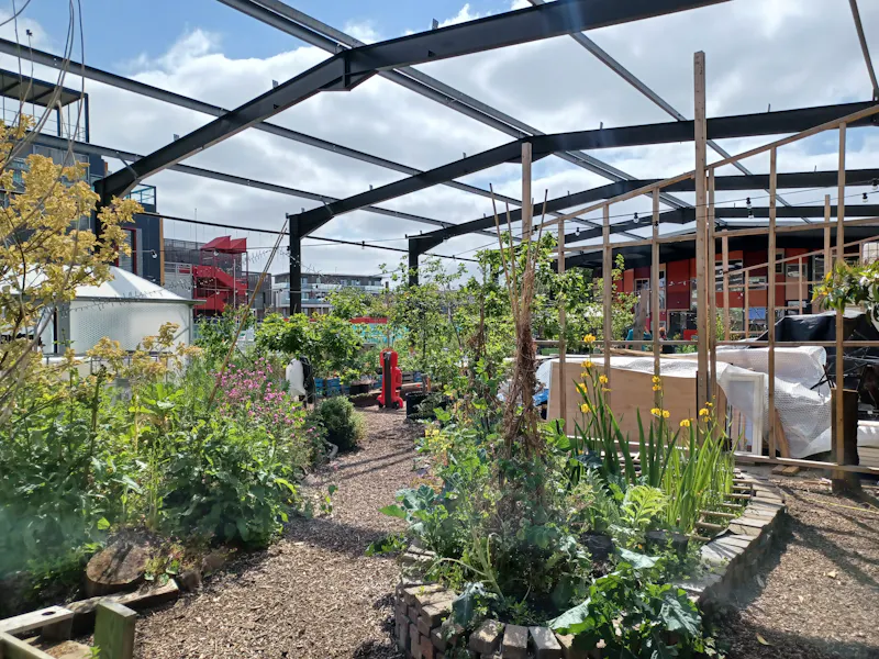 Surrey Quays Urban Allotment, L776 (photo 9)