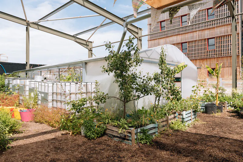 Greenhouse at Surrey Quays Urban Allotment, L776 (photo 6)