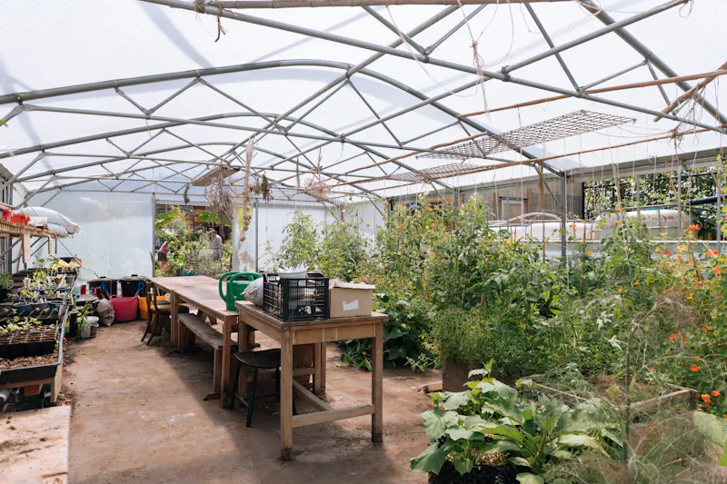 Surrey Quays Urban Allotment, L776 (photo 8)