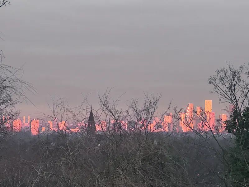 Views - city at Mid-Century Dulwich home, D2855 (photo 48)