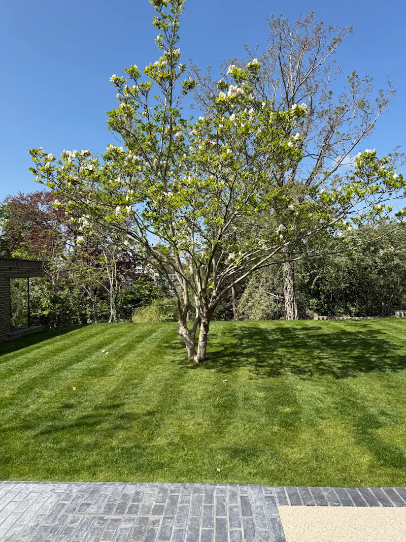 Mid-Century Dulwich home, D2855 (photo 44)