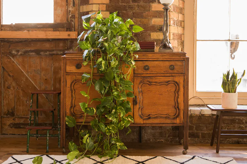 Versatile London Shoot Space, N494 (photo 16)