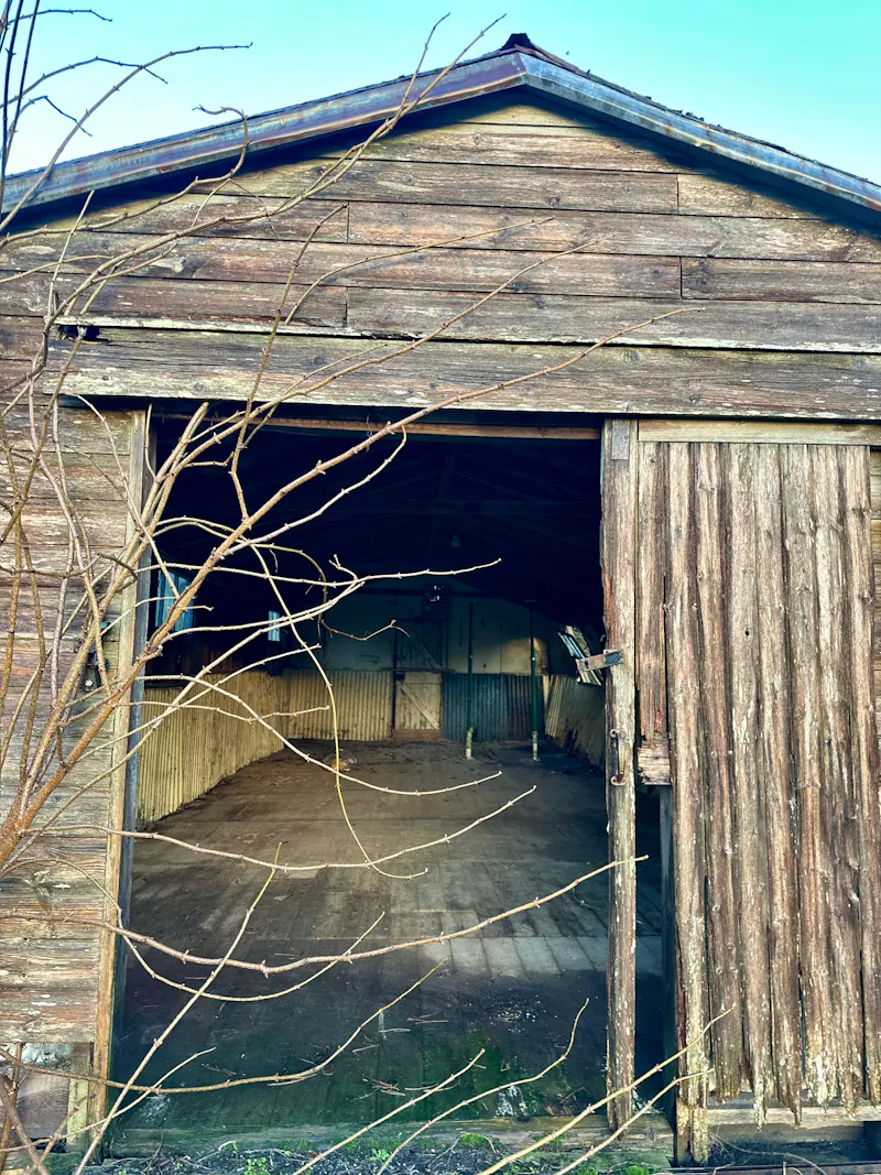 Derelict georgian Tisbury barns, N567 (photo 9)