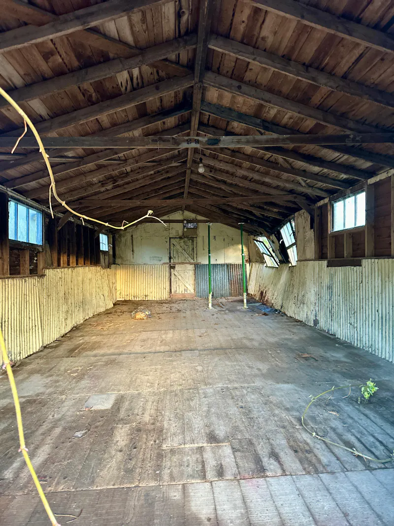 Beams at Derelict georgian Tisbury barns, N567 (photo 2)