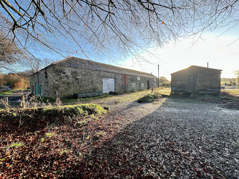 Driveway at Derelict georgian Tisbury barns, N567 (photo 1)