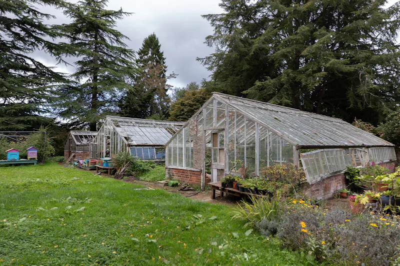 Greenhouse at Vacant Reading Tudor manor, M371 (photo 36)