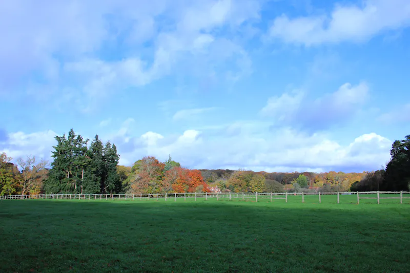 Views - country at Vacant Reading Tudor manor, M371 (photo 29)