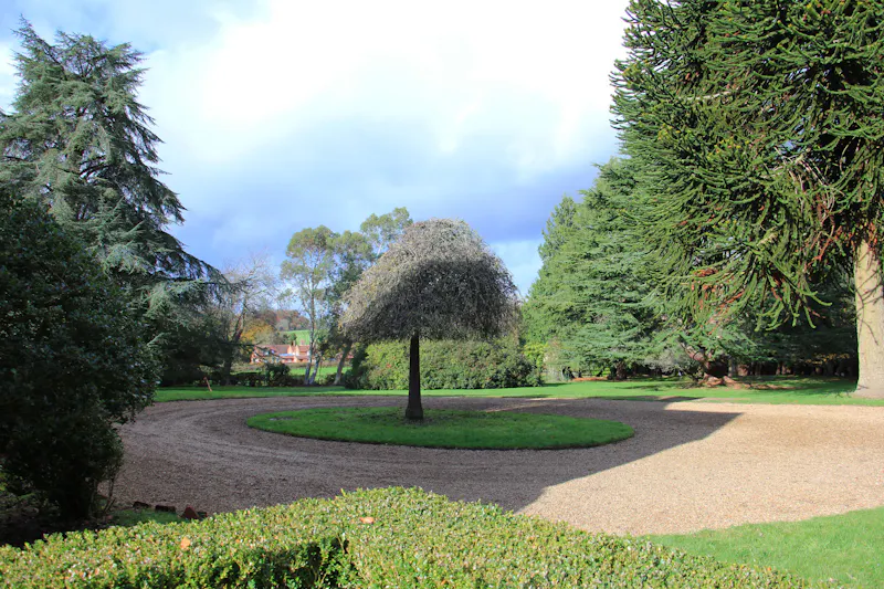 Driveway at Vacant Reading Tudor manor, M371 (photo 28)