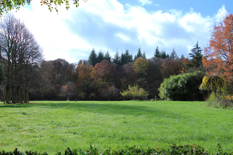 Woodland at Vacant Reading Tudor manor, M371 (photo 30)