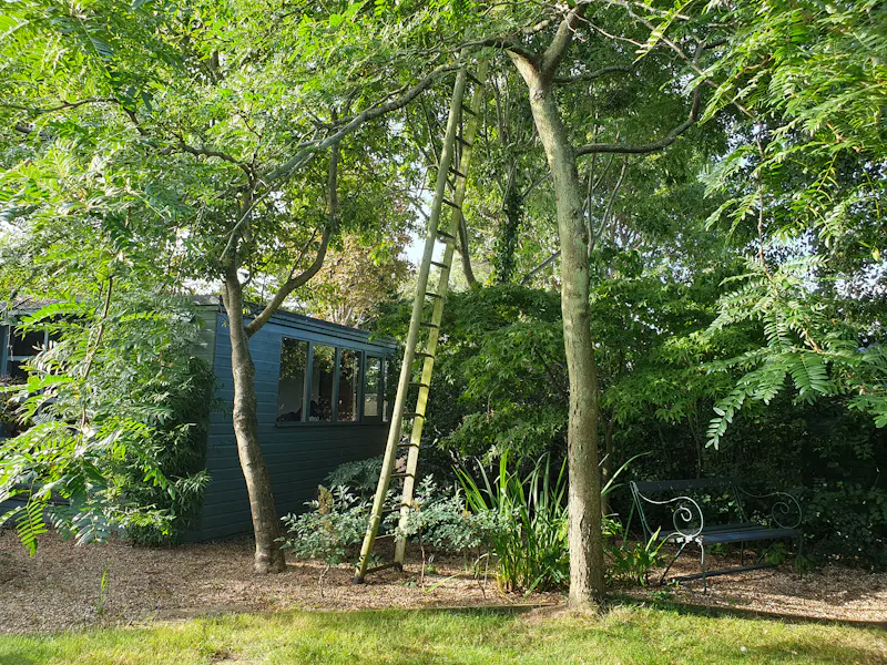 Charming Hastings Villa, A1688 (photo 46)
