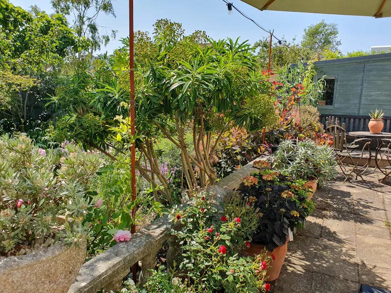 Charming Hastings Villa, A1688 (photo 43)