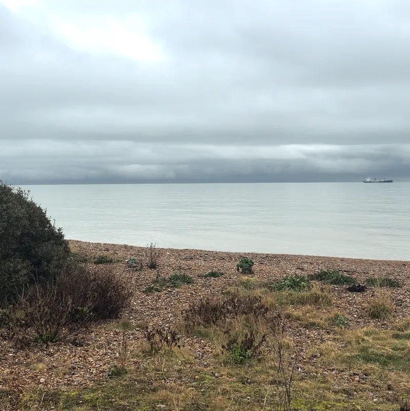 Views - sea at Earthy Deal sea front house , D2866 (photo 25)
