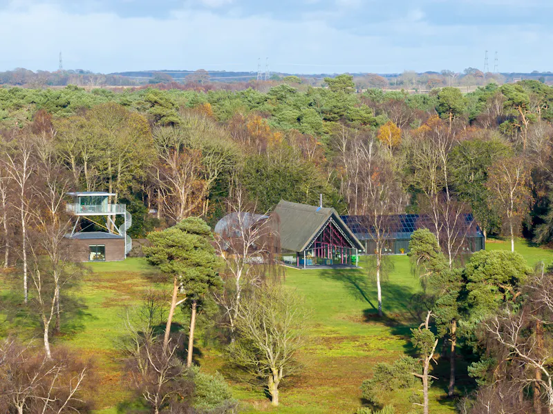 Suffolk Thatched Glass House, Q161 (photo 45)