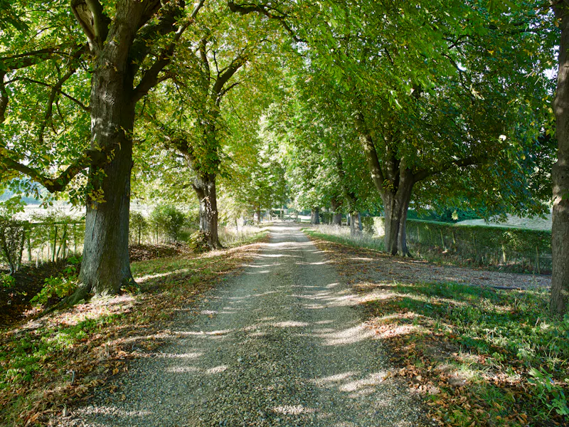 Driveway at Oak framed Bayford house, D2156 (photo 65)