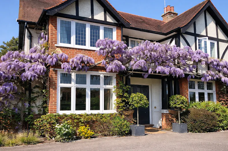 Elegant Edwardian Oxshott home, E553 (photo 1)