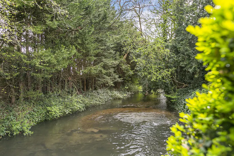 Lake at Old Mill House Kings Langley, C960 (photo 21)