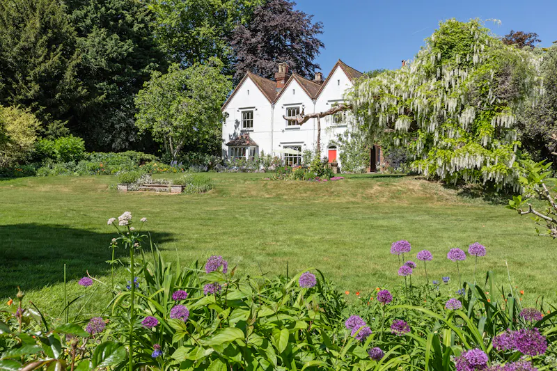 Garden - wild at Magical South Downs farmhouse, E554 (photo 97)
