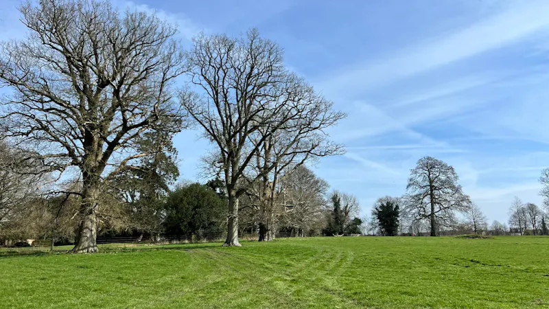 Views - country at Devizes vacant country home, A1700 (photo 17)