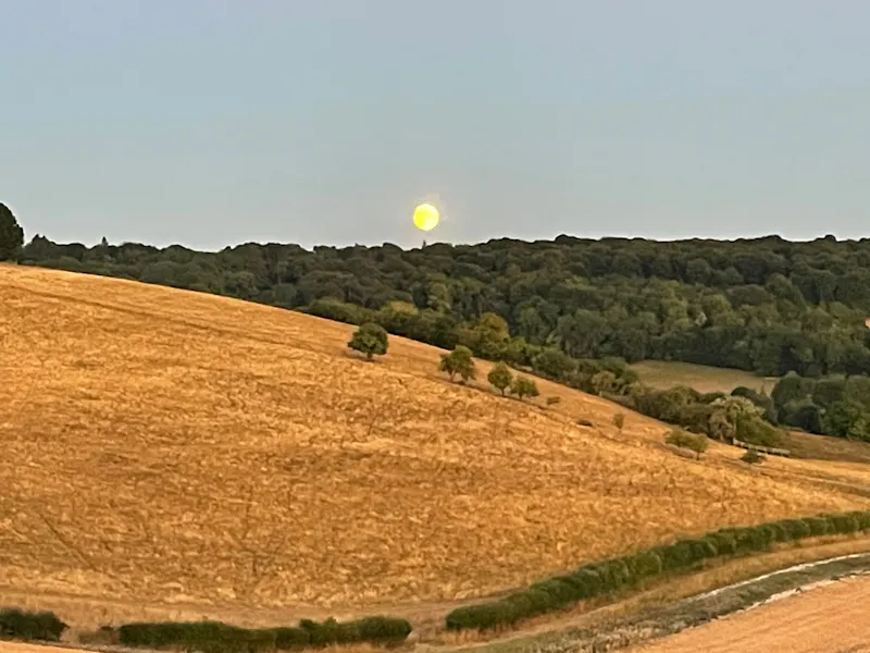 Architect-Designed Ipsden Home, K519 (photo 55)