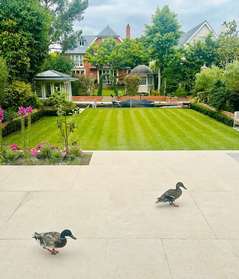 Thameside home in Teddington, B2140 (photo 39)