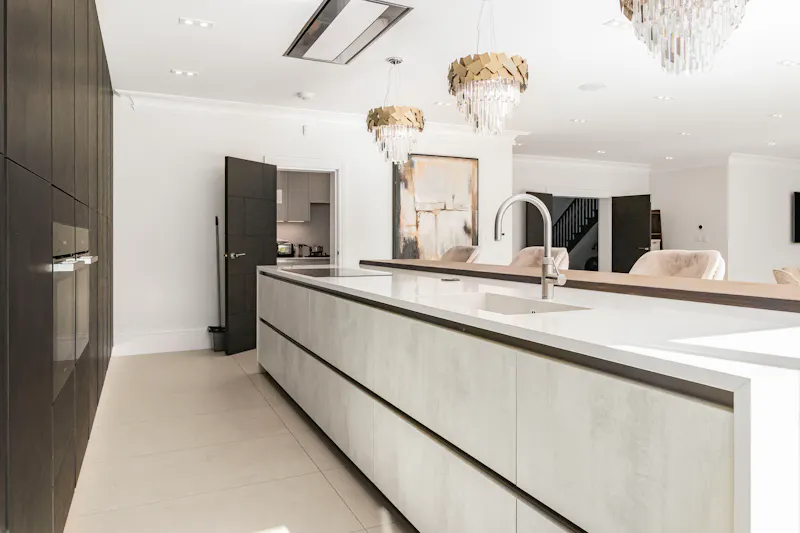Hadley Wood Modern Mansion, D2886 (photo 5)